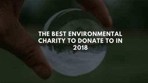 best environmental organizations to donate to|What Are the Best Environmental Charities to Donate .